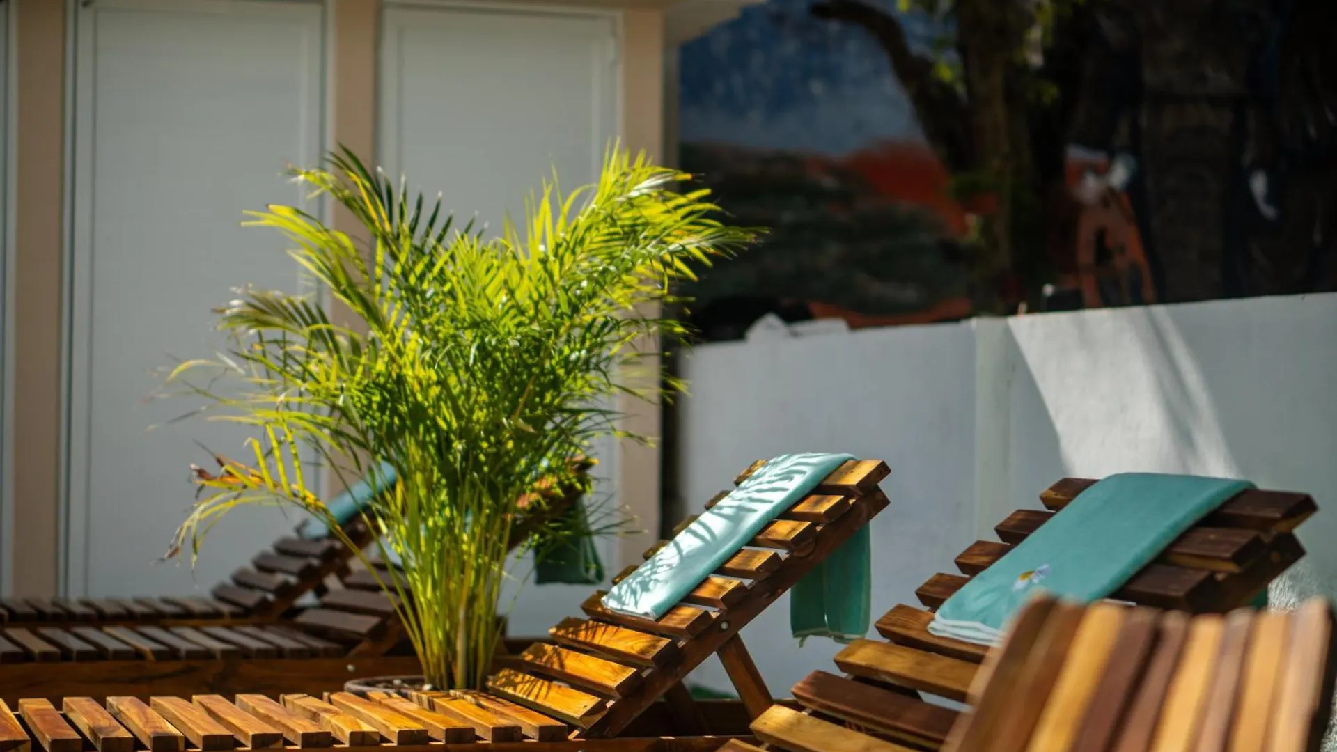 La Quinta Caribena Apartment Playa del Carmen Mexico